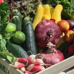 Farm Fresh Produce Bag – Large