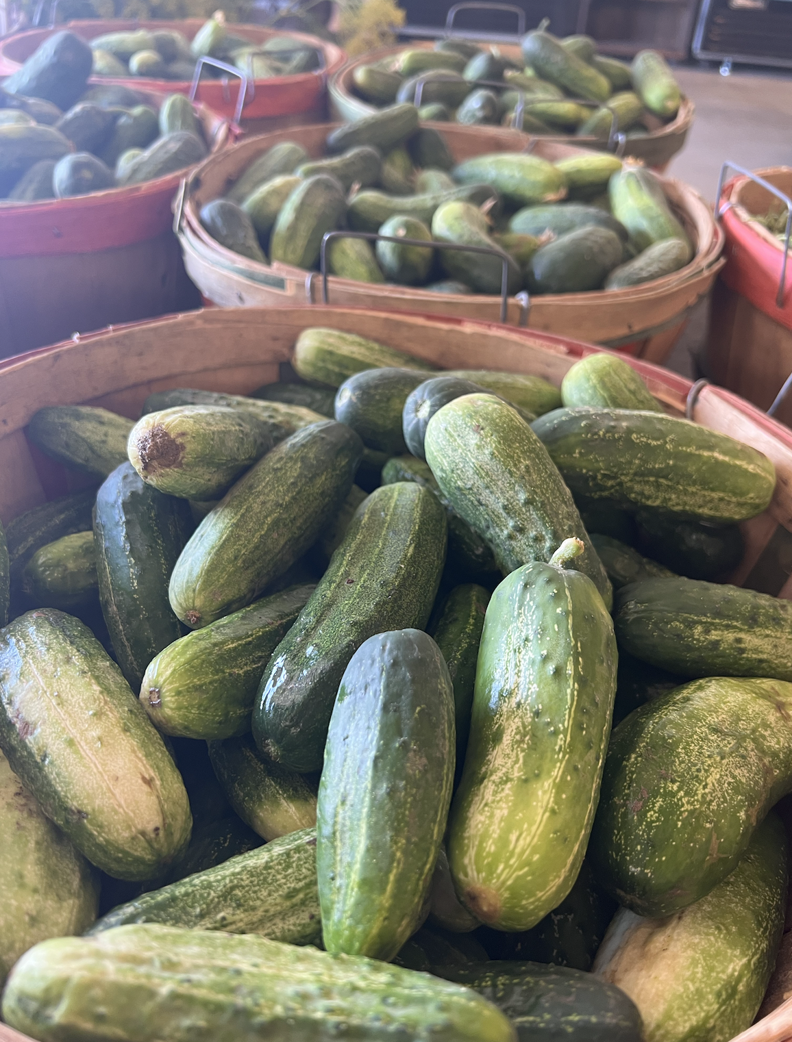 Homegrown Pickling Cucumbers
