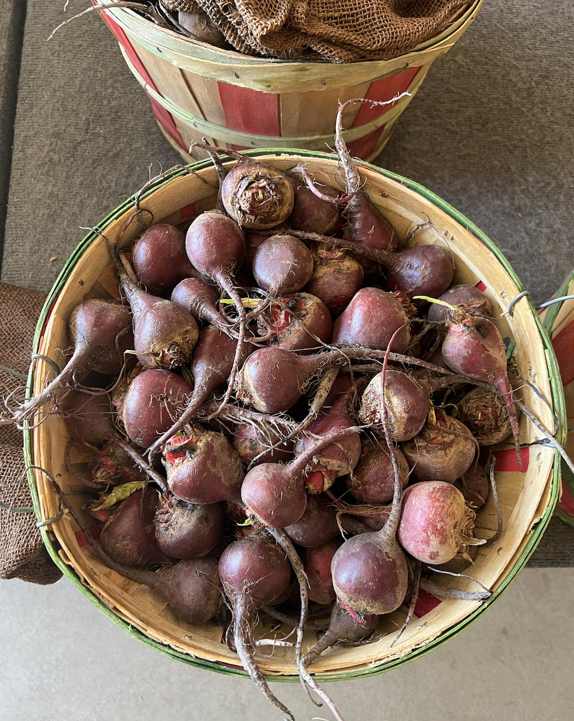 Homegrown Beets